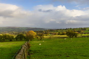 Landscape - W.Eardley